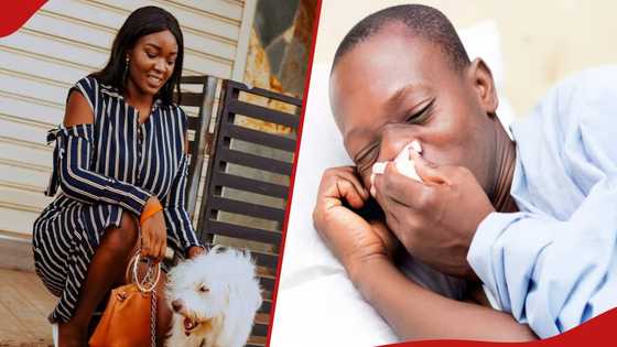 Lady dumps her long-term lover for being allergic to her pet dog she bought 3 months ago