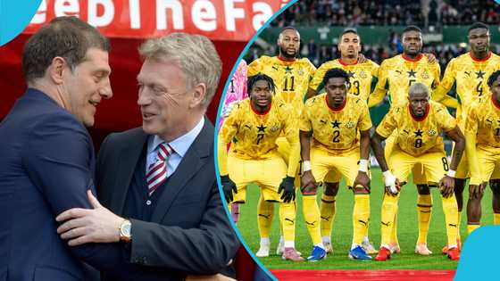 Ghana targets new Black Stars coach; 2 fresh names in contention