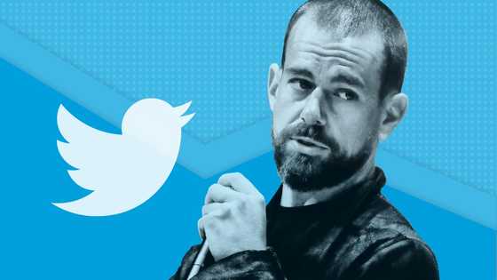 Twitter CEO to relocate to Ghana for at least six months - Ursula Owusu