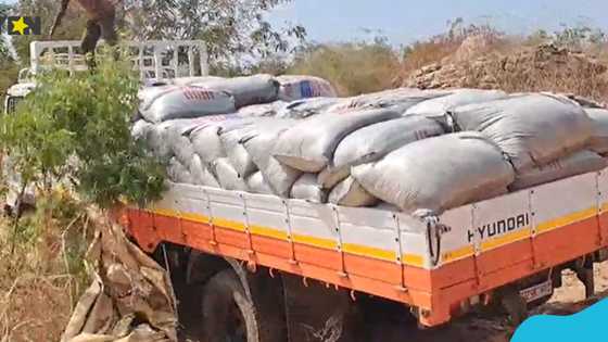 Four arrested for alleged involvement in cocoa smuggling operation at Kwahu Nketepa