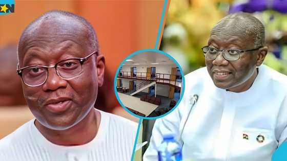 Ken Ofori-Atta detained: Inside the ICE facility housing Ghana's former Finance Minister in Virginia