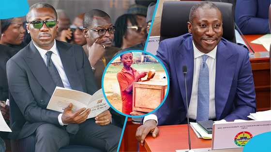 Childhood photo of Minority Leader Afenyo-Markin as a hawker stirs reactions online