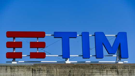 Telecom Italia approves US fund's bid for network