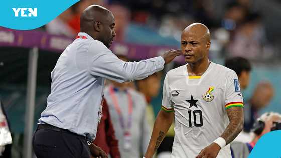 Journalist fires at Ayew family over Dede’s Black Stars future: ‘Let the coach work'
