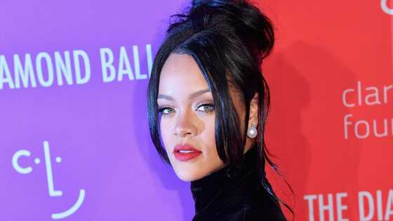 Rihanna buys new mansion for a cool GHC80m; beautiful photos of the plush house drop