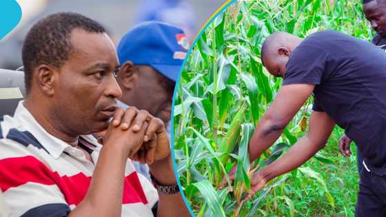 Attorney General chases Wontumi Farms, directors over GH¢24 million EXIM Bank fraud