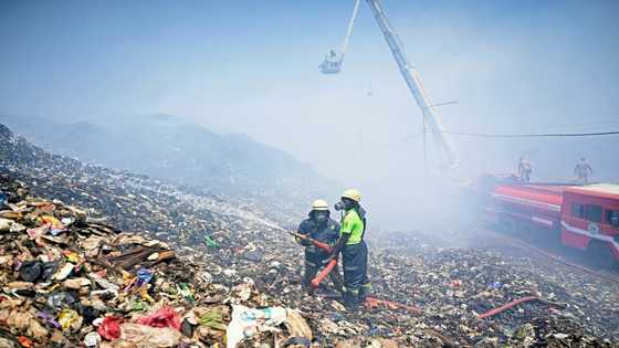 Rubbish reform: changes to waste management could slash emissions