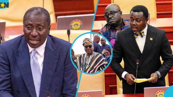 Minority criticises government for deploying soldiers to Jamaica and Benin