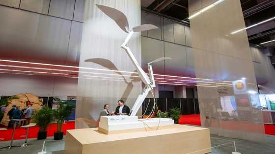 Robot plant grows, wilts on fate of UN nature talks