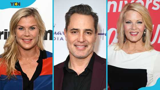 Top 15 cast members of Hannah Swensen Mysteries from the first movie to now