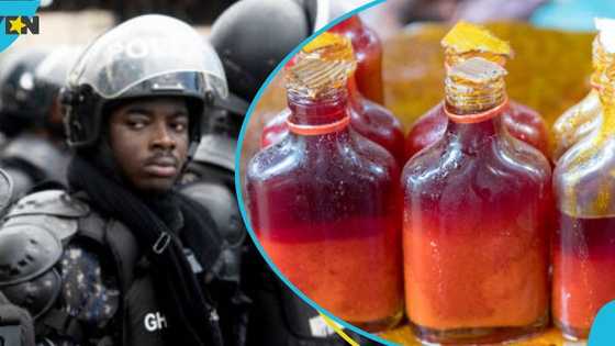 FDA's market surveillance leads to arrest of seven women over adulterated palm oil with Sudan dye