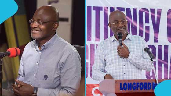 Kennedy Agyapong shares profitable businesses young entrepreneurs can venture into