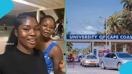 UCC student laments over pressure to study in the school: “People learn through the night”