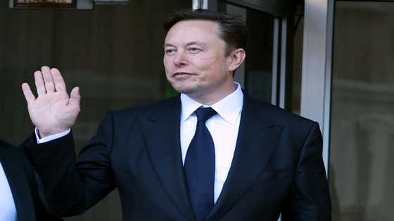 Musk eyes torrid growth at Tesla, but offers no big new reveals