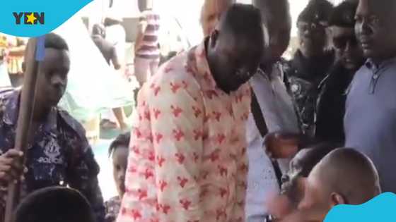 NPP presidential primaries: Delegate arrested at Kasoa for flouting voting rules