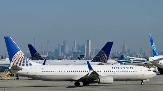 US halts all domestic flight departures over system outage