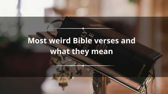 40+ most weird Bible verses that you likely never heard of and what they mean