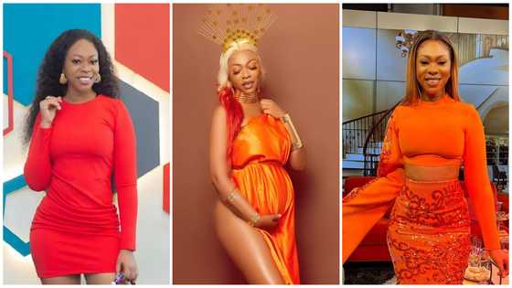 His name is Alpha: Michy announces she is expecting another boy with new baby bump photos