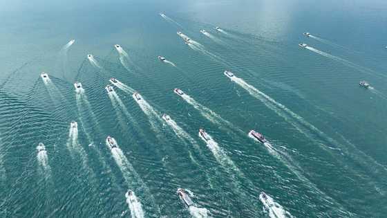 UN 'closer than ever' to high seas biodiversity treaty