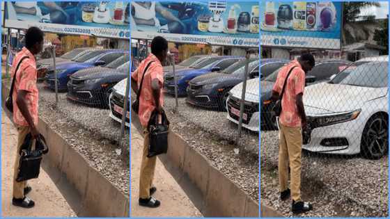 Adorable moment a Ghanaian student got emotional after seeing a fleet of cars trends: "You will soon own one"