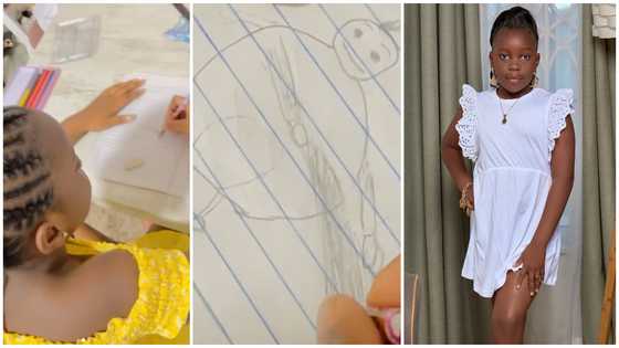 Video of Afia Schwarzenegger's daughter's unique drawing of Nana Addo sparks reactions