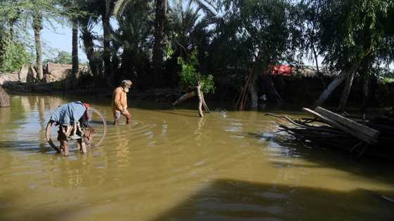 'Everything is destroyed': Pakistan flood survivors plead for aid