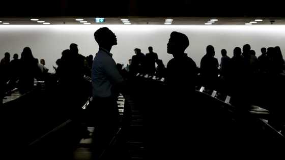 Oil industry presence surges at UN plastic talks: NGOs