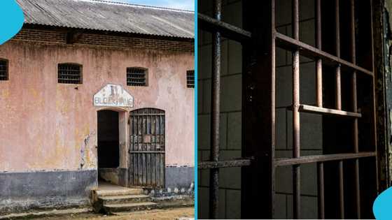 Prison system under fire after inmate escapes in fellow cellmate’s bag as he’s released
