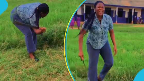 Female Ghanaian teacher weeds school compound with energy, her colleagues look at her in disbelief: "She is a wife material"