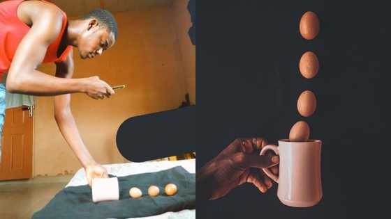 This is eggstraordinary - Peeps impressed by photographer's skills