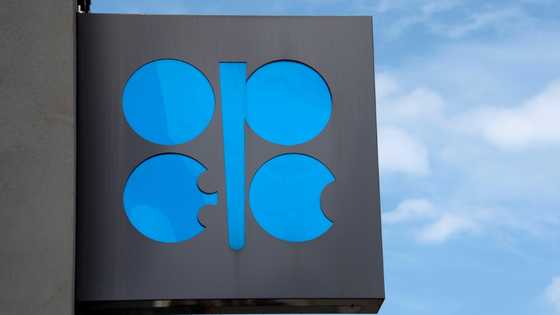 Opec+ plus to raise oil production by 137,000 barrels a day in November