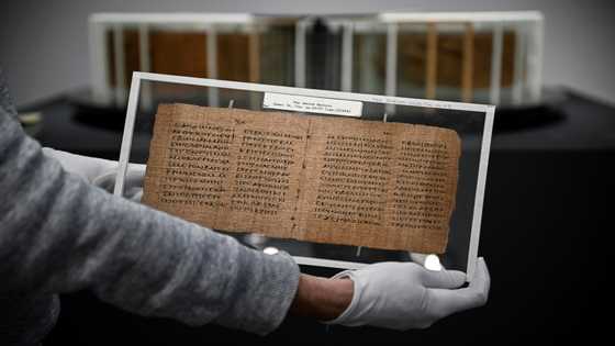 Oldest privately owned book sells for £3mn at UK sale
