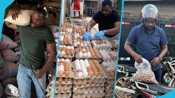 5 reasons why John Dumelo deserves the Deputy Minister for Food and Agriculture appointment