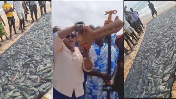 Fishermen get bumper harvest after Hawa Koomson locked & reopened the sea