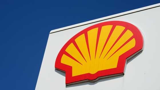 Shell halts Red Sea shipments over attack fears: report