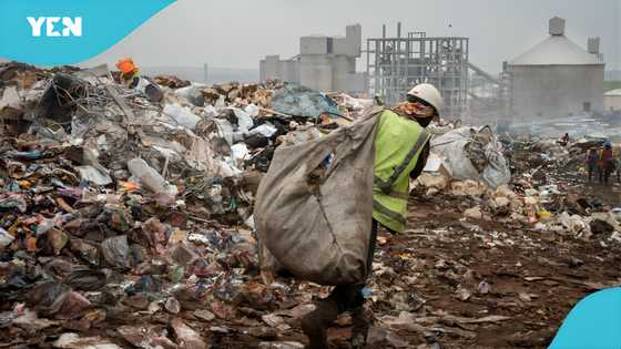 Markola: Nigerian man who collects refuse for a living arrested for illegal waste dumping