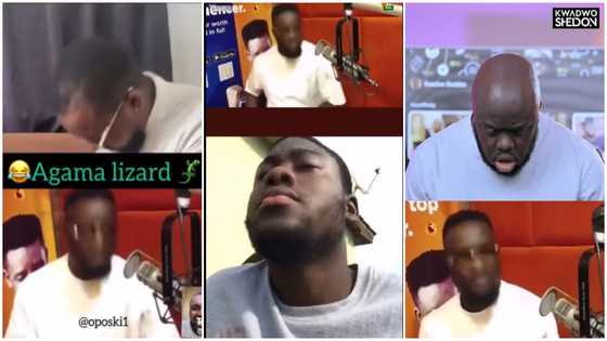 Sarkodie nodding challenge: Video of the rapper nodding head like agama lizard becomes trend, more videos pop up