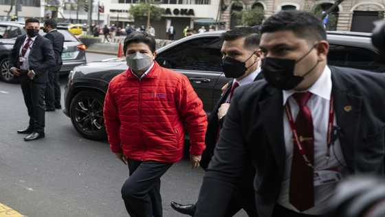Peru's president makes appearance in graft probe
