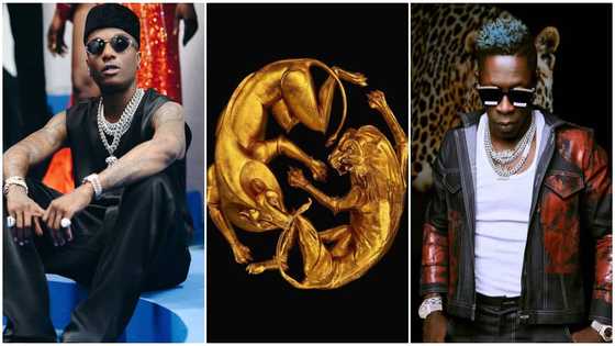 MTV VMA: Africa's Wizkid, Shatta Wale bag nominations for collaborations with Beyonce on Black is King