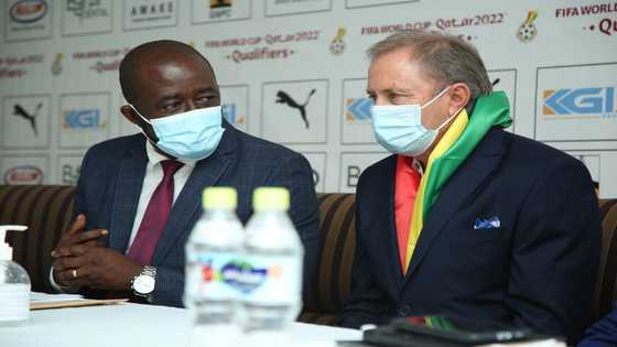 GFA confirm Serbian trainer Milovan Rajevac as new Black Stars coach