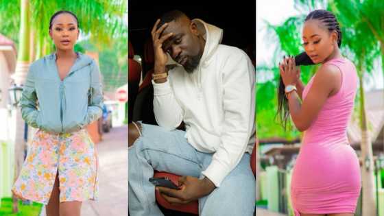 FreeAkuapemPoloo: Sarkodie 'goes on his knees' to beg for actress