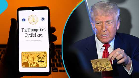 Trump launches express US visa scheme with a ridiculous price of $1 million