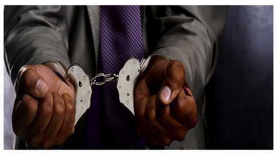 Baby harvesting: One of the doctors busted sold over 12 babies - EOCO boss reveals