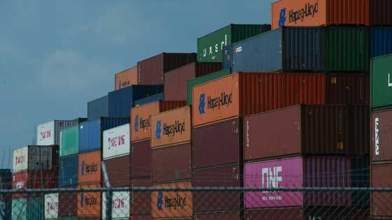 No slowdown yet: US import deluge tests supply chain
