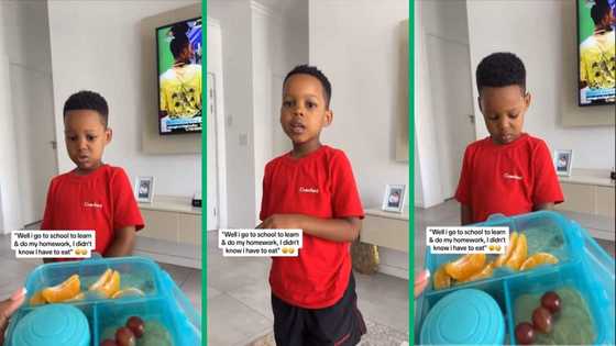 Mum baffled as son returns from school with lunch untouched in amusing TikTok video