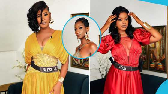 Perfect Match Xtra season 2 female contestants go viral with jaw-dropping photoshoot: "Rose has already won"