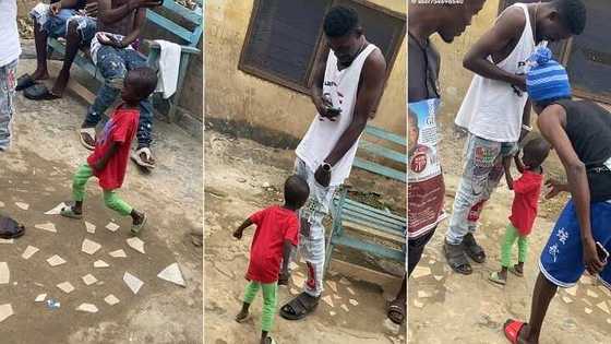 "David and Goliath": Smallish man challenges tall adult on road, collects his phone in video