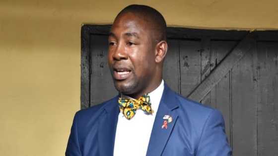 NDC's legal team needs therapy or they will continue to be charged with contempt - Okoe-Boye