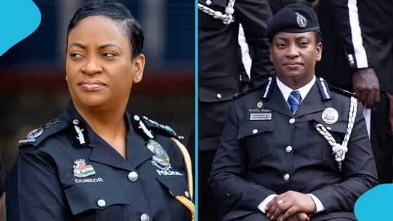 Police recover 10 vehicles stolen from the Netherlands and imported to Ghana: "System is working"