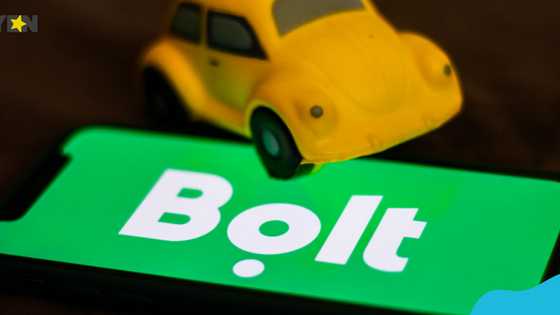 Bolt announces intention to appeal identity theft ruling